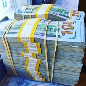 Meet your Posher, Riley